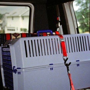 crate fastened down