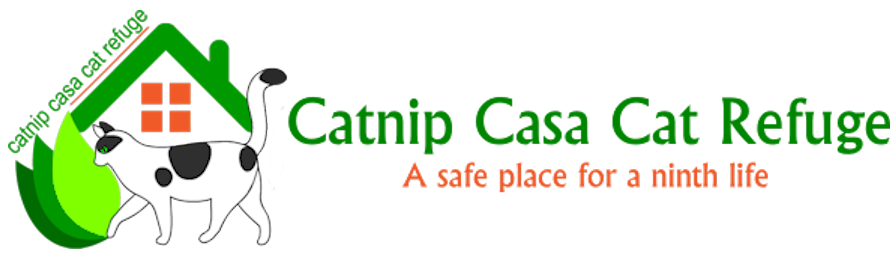 Catnip Casa Cat Refuge