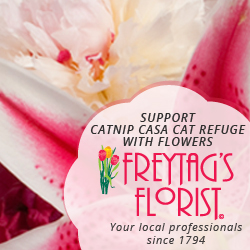 "Did you know that you can purchase gifts for your loved ones AND support our organization at the same time? Just Mention Austin Community Blooms, and Catnip Casa Cat Refuge over the phone, in store or at check-out online for 5% of your purchase to contribute to our cause. See www.freytagsflorist.com (under About Us, charities and non-profits) for more information. Thank you for your support."