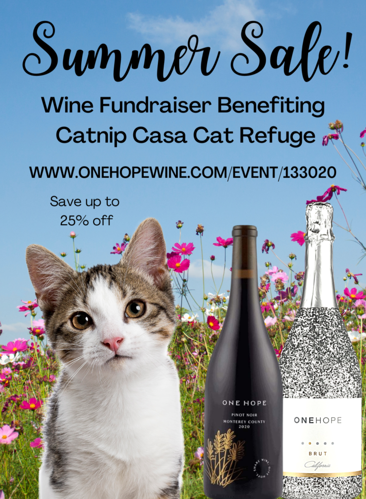 One Hope Summer Fundraiser 2022