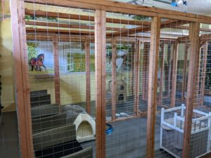 catio room overview