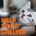 how to help save cats using iGive