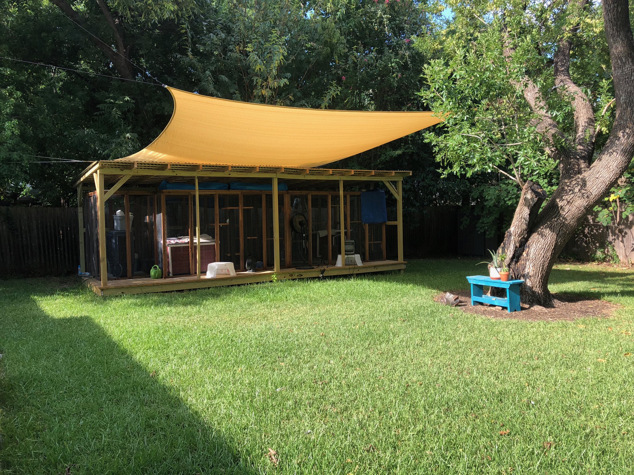 catio and cat-fenced yard at Austin Kitty Village