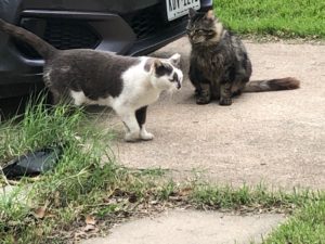 Ben and CC sitting outside